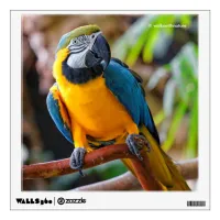 Beautiful Blue and Gold Macaw Wall Sticker