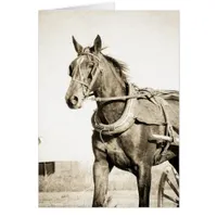 Sepia Amish Horse And Buggy