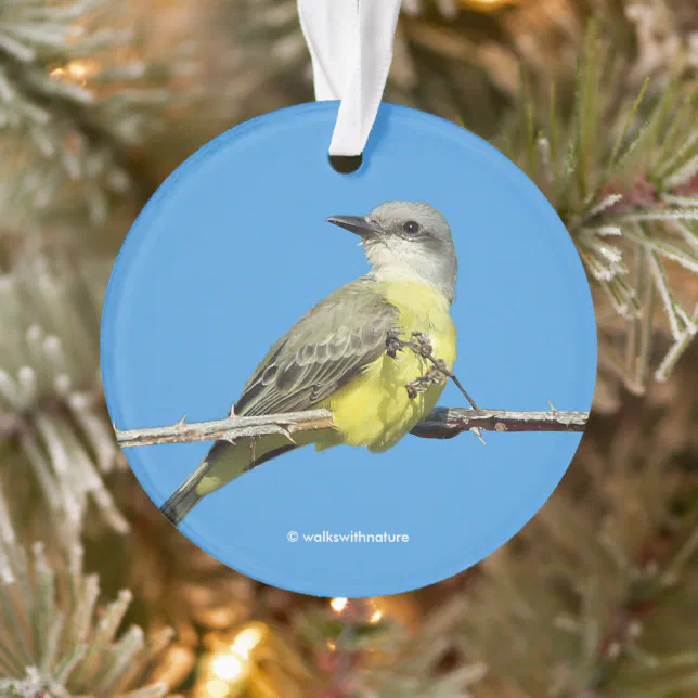 Stunning Tropical Kingbird on Blackberry Branch Ornament