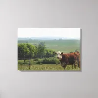 Midwest Photography | Beautiful Cow and Scenery Canvas Print