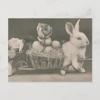 Adorable Vintage Easter Rabbit Holiday Postcard