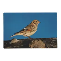 Lapland Longspur on a Sunlit Log Placemat