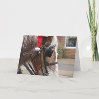 Christmas Draft Horse Holiday Card