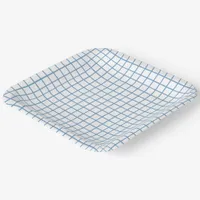 Blue Checked Pattern Paper Plates