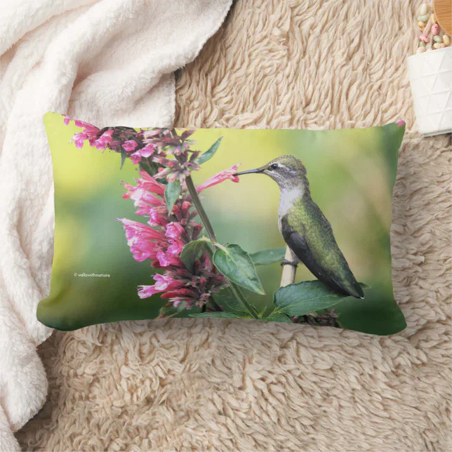 Anna's Hummingbird on Anise Hyssop Flowers Lumbar Pillow