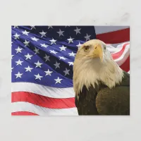 American Bald Eagle and Flag Postcard