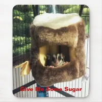 Sugar Glider in Furry Tree Truck Hanging Bed Mouse Pad