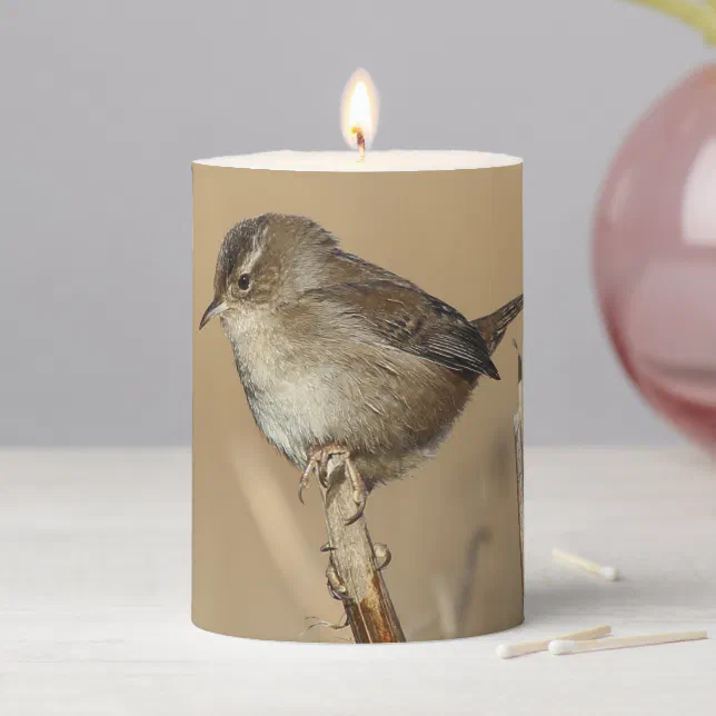 Profile of a Beautiful Marsh Wren Songbird Pillar Candle