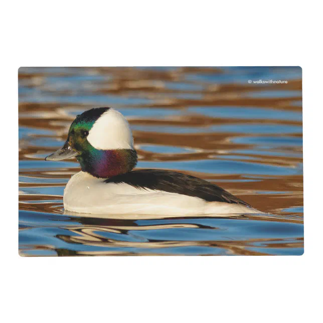 Male Bufflehead Duck in the Afternoon Sun Placemat