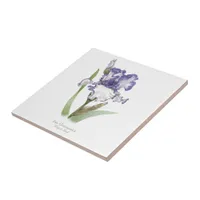 Purple Ruffled Iris Botanical Style Art Ceramic Tile