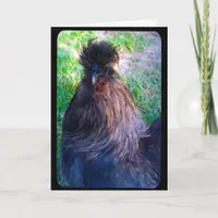 Mr. Fluffy the Silkie Rooster Card