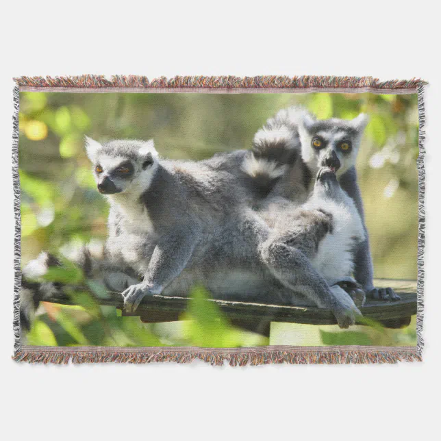 Funny Surprised Lemurs of Madagascar Throw Blanket