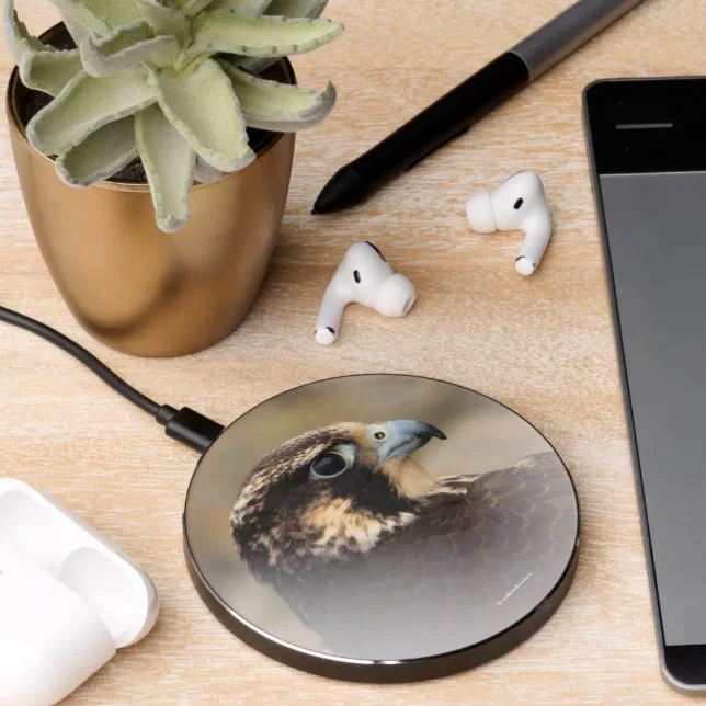 Stunning Vignetted Profile of a Peregrine Falcon Wireless Charger