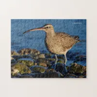 Whimbrel Shorebird at the Beach Jigsaw Puzzle