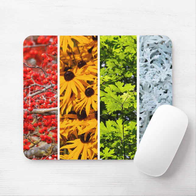 Colors of the Changing Seasons Quadriptych Mouse Pad