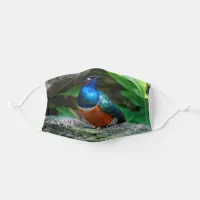 Stunning Colorful African Superb Starling on Rocks Adult Cloth Face Mask