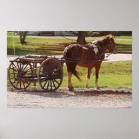 Amish Pony Cart Poster