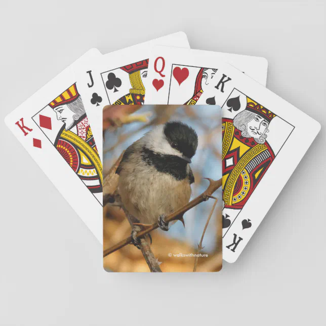 Cute Hopeful Black-Capped Chickadee Songbird Poker Cards
