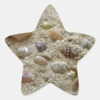 Seashells In The Sand Star Sticker