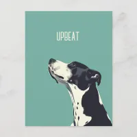 Black and White Boxer Postcard