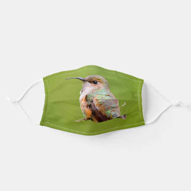 Rufous Hummingbird Sitting in the California Lilac Adult Cloth Face Mask