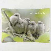 Heartwarming Cute Bushtits Songbirds Family Photo Trinket Tray