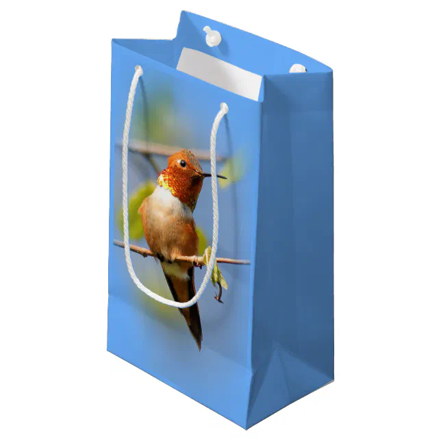 Stunning Rufous Hummingbird in the Sun Small Gift Bag