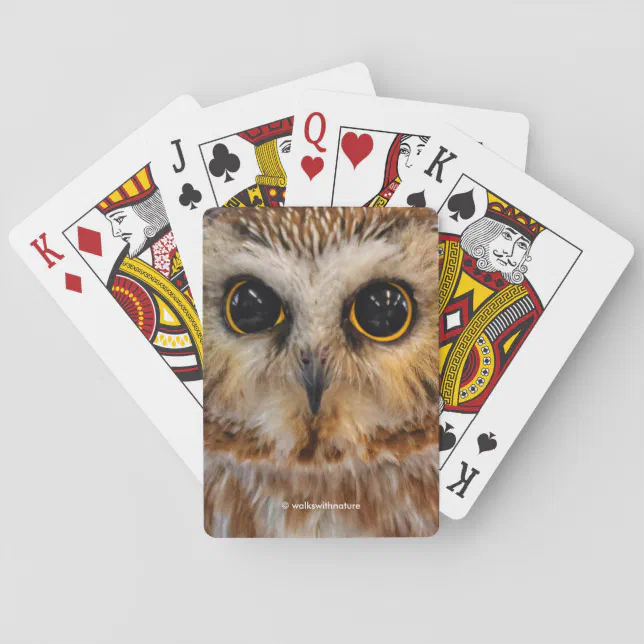 Cute Little Northern Saw Whet Owl Poker Cards