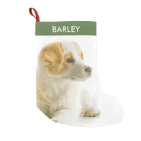 Personalized Pet Dog Photo Festive Holiday Cute  Small Christmas Stocking