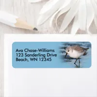 Cute Sanderling Shorebird Sandpiper on the Shore Label