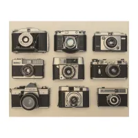 Vintage Cameras Retro Old Classic Wood Wall Art