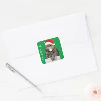 Christmas Cat Humbug Photo with Santa Hat Square Sticker