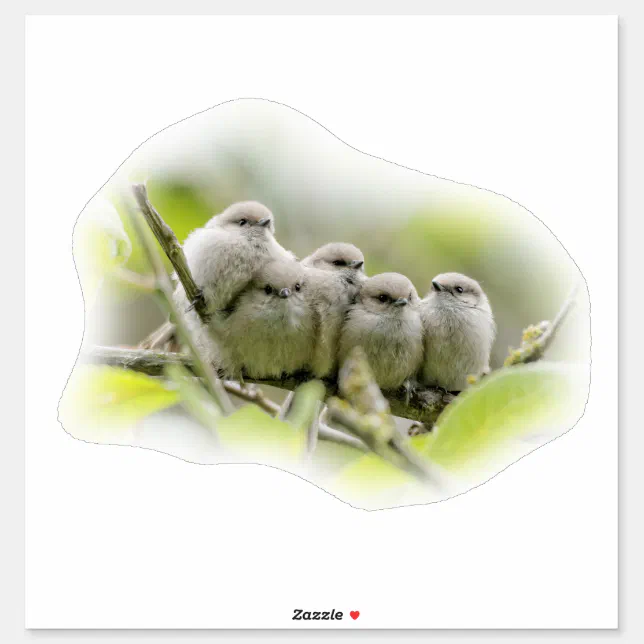 Heartwarming Cute Bushtits Songbirds Family Photo Sticker