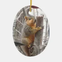 Adorable Squirrel Photo  Christmas Ceramic Ornament