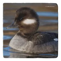 Cute Bufflehead Duck on Sunlit Waters Trivet