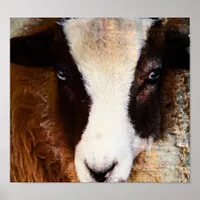 Amy The Ewe Poster