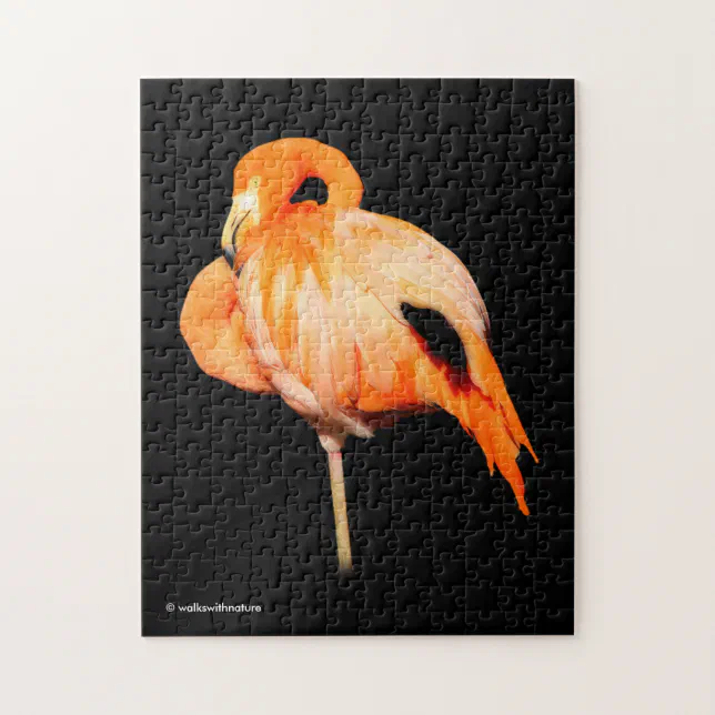 Flamingo in the Summer Sun Jigsaw Puzzle