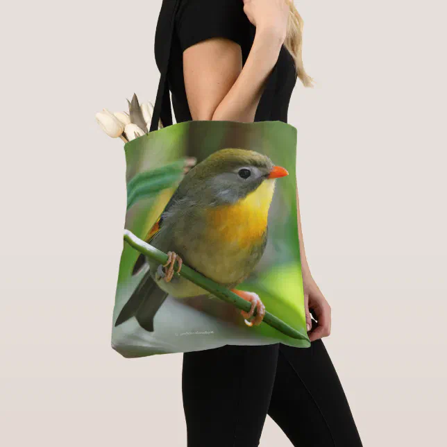 Colorful Leiothrix / Pekin Robin Songbird Tote Bag