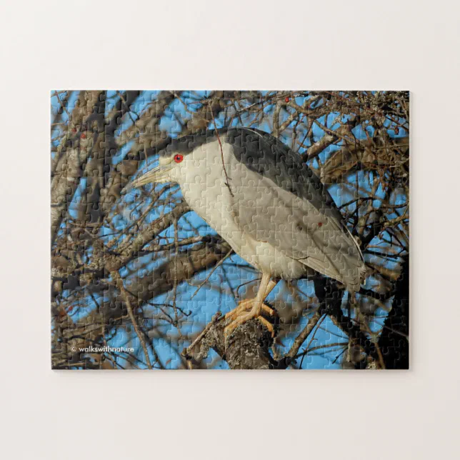 Profile of a Black-Crowned Night Heron Jigsaw Puzzle
