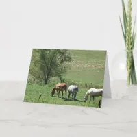 Horse Pasture Card