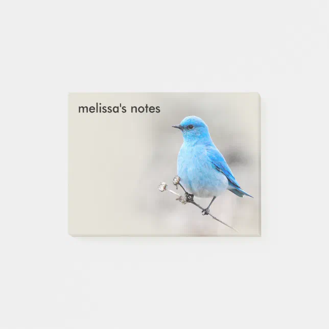 Beautiful Mountain Bluebird Post-it Notes