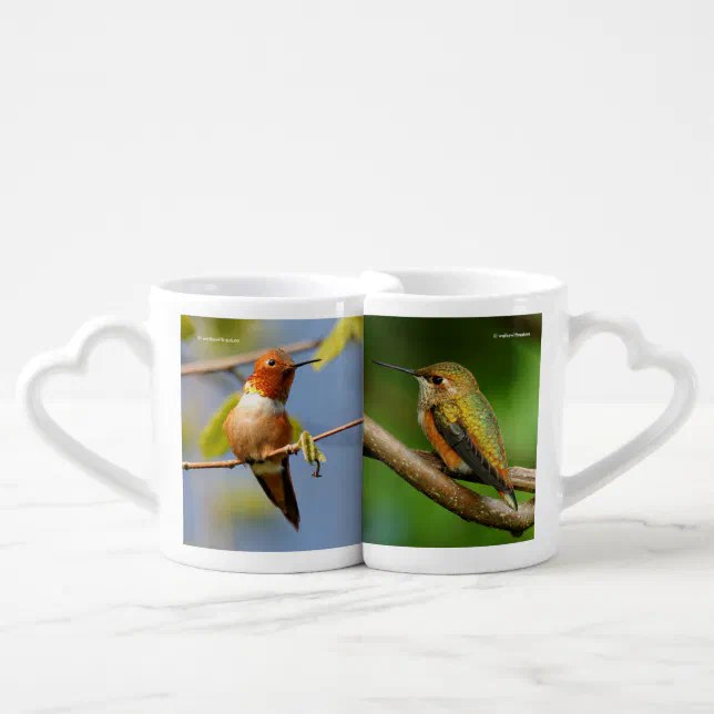 Rufous Hummingbirds Coffee Mug Set