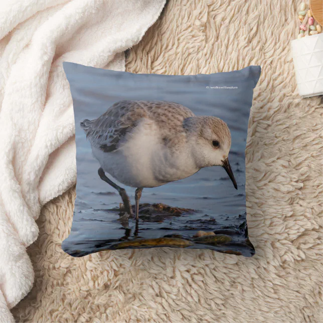 Cute Sanderling Sandpiper Strolling Winter Beach Throw Pillow