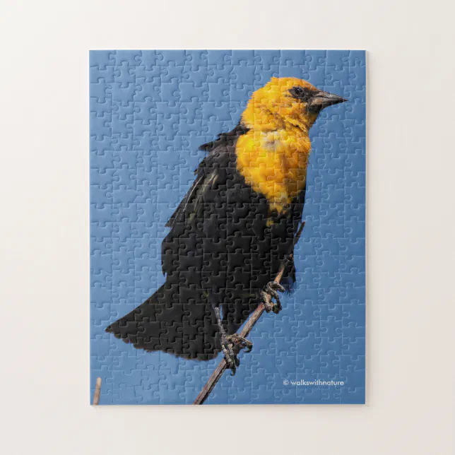 Gorgeous Yellow-Headed Blackbird on a Windy Day Jigsaw Puzzle