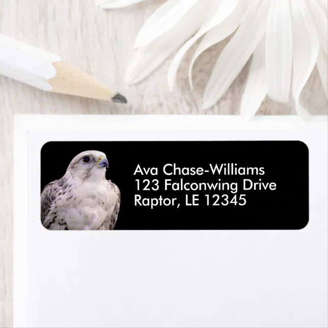 Vignetted Portrait of an Inquisitive Saker Falcon Label