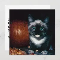 Kitten and Pumpkin for Halloween Invitation