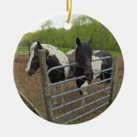 Add your Favorite Pet Photo to this  Ceramic Ornament