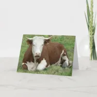 Cow What is All the Moo About Friendship, ZKA Holiday Card