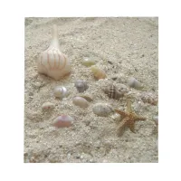 Seashells In The Sand Notepad