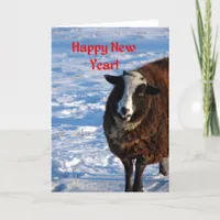 New Year Sheep Holiday Card